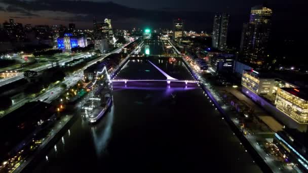 Cityscape Buenos Aires Argentina Panorama Landscape Tourism Landmark Downtown Capital — 비디오