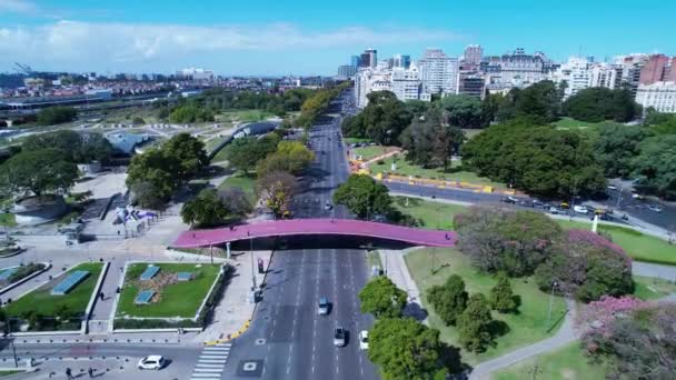 Cityscape Buenos Aires Argentina Panorama Landscape Tourism Landmark Downtown Capital — Vídeo de Stock