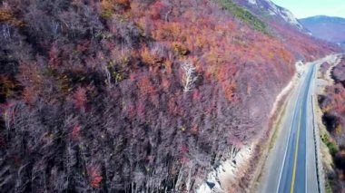 Patagonya Arjantin. Ushuaia Arjantin 'deki Tierra del Fuego sıradağları yakınında çarpıcı bir yol. Yolculuk manzarası. Ushuaia Patagonya Arjantin. Ushuaia Arjantin. Patagonya peyzaj gezisi.