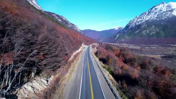 Patagonia Carretera Ushuaia Argentina Provincia Tierra Del Fuego Impresionante Camino — Vídeos de Stock