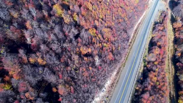 Patagonia Road Ushuaia Argentina Province Tierra Del Fuego Stunning Road — Stockvideo