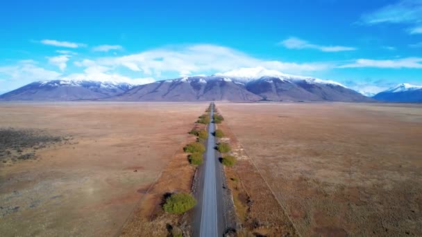 Patagonien Argentinien Berühmte Straße Bei Calafate Patagonien Argentinien Straßenlandschaft Patagoniens — Stockvideo