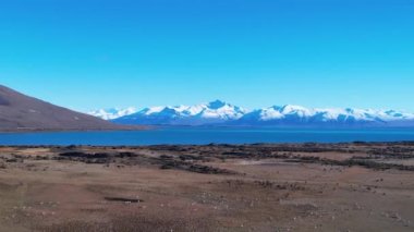 Patagonya manzarası. Manzaralı göl ve Nevada dağları Patagonya Arjantin 'in El Calafate kasabasında. Seyahat yerleri. Andean, Patagonya 'nın manzarasını göller. Seyahat noktaları El Calafate Arjantin.