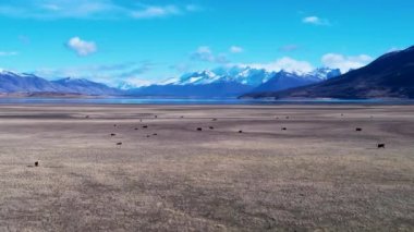 Patagonya Arjantin. Patagonya Arjantin 'in El Calafate kasabasındaki ünlü yol. Patagonya yolu manzarası. Nevada Dağı 'yla çöl manzarası inanılmaz. El Calafate Patagonya 'da Arjantin.