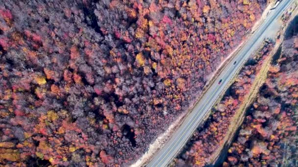 Patagonia Road Ushuaia Argentina Province Tierra Del Fuego Stunning Road — Videoclip de stoc