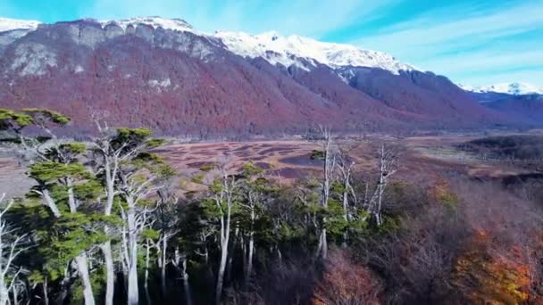 Patagonia Argentina Amazing Snow Mountains Peak Ushuaia Argentina Province Tierra — Stok video