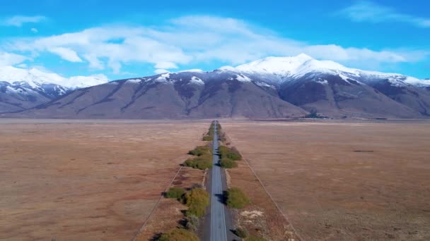 Patagonië Argentinië Beroemde Weg Stad Calafate Patagonië Argentinië Patagonië Weglandschap — Stockvideo