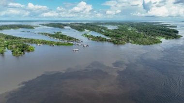 Amazon Nehri, Amazon Yağmur Ormanı. Dünyanın en büyük tropikal yağmur ormanları. Manaus Brezilya. Amazonia ekosistemi. Doğa, vahşi hayat manzarası. Küresel ısınma emisyonlarında azalma. Amazon nehri vahşi yaşamı.