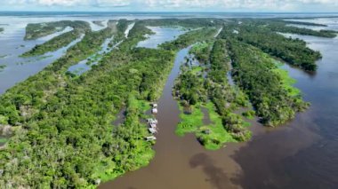 Amazon Ormanı 'nda Amazon Nehri' nin yüzen restoranları. Manaus Brezilya. Doğa, vahşi hayat manzarası. Yeşil arka plan. Amazonas eyaletindeki orman ağaçları. Turizm cazibesi. Seyahat hedefi.
