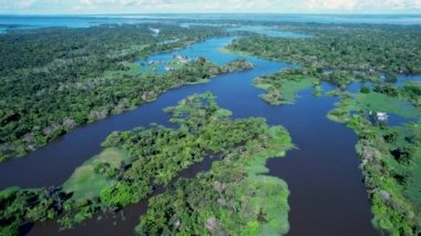 Amazon Ormanı 'ndaki Amazon Nehri. Dünyanın ünlü tropikal ormanları. Manaus Brezilya. Amazon ekosistemi. Doğa, vahşi hayat manzarası. Solimoes Amazon Nehri biyolojisi. Amazon yaşam tarzı.