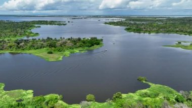 Amazon Ormanı 'nda Amazon Nehri' nin yüzen restoranları. Manaus Brezilya. Doğa, vahşi hayat manzarası. Yeşil arka plan. Amazonas eyaletindeki orman ağaçları. Turizm cazibesi. Seyahat hedefi.