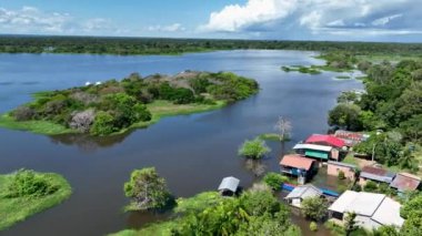 Amazon Nehri, Amazon Yağmur Ormanı. Dünyanın en büyük tropikal yağmur ormanları. Manaus Brezilya. Amazonia ekosistemi. Doğa, vahşi hayat manzarası. Küresel ısınma emisyonlarında azalma. Amazon nehri vahşi yaşamı.