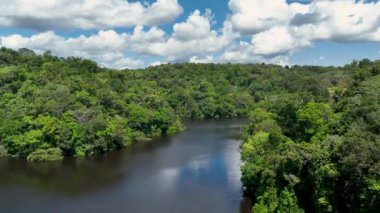Amazon Nehri, Amazon Yağmur Ormanı. Dünyanın en büyük tropikal yağmur ormanları. Manaus Brezilya. Amazonia ekosistemi. Doğa, vahşi hayat manzarası. Küresel ısınma emisyonlarında azalma. Amazon nehri vahşi yaşamı.