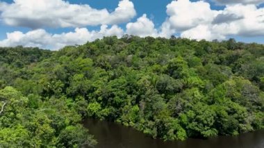 Manaus Brezilya. Amazon Ormanı 'ndaki Taruma Nehri Amazon Biomu' ndaki dev Kara Nehir 'in zenginliği. Doğal yaban hayatı manzarası. Küresel ısınma orman tahribatı. Amazon yağmur ormanları vahşi yaşam.
