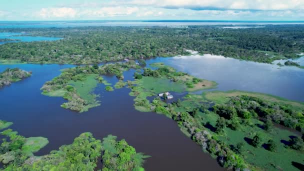 アマゾンの森のアマゾン川 世界の有名な熱帯林 マナウス ブラジル アマゾンの生態系 自然の野生生物の風景 ソリモアマゾン川のバイオーム アマゾンのライフスタイル — ストック動画