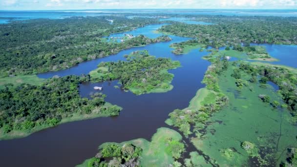 Rio Amazonas Floresta Amazônica Famosa Floresta Tropical Mundo Manaus Brasil — Vídeo de Stock