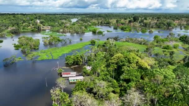 Rio Amazonas Floresta Amazônica Famosa Floresta Tropical Mundo Manaus Brasil — Vídeo de Stock