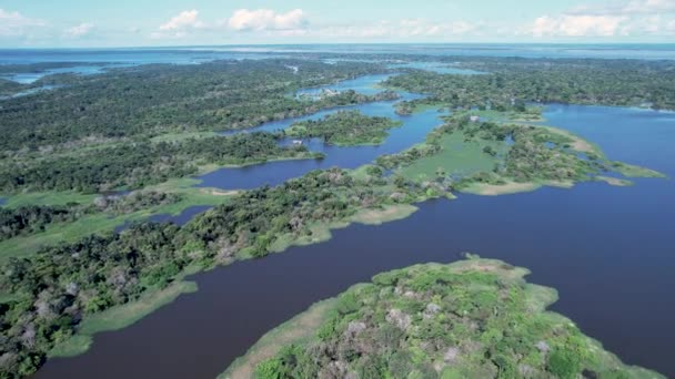 Río Amazonas Selva Amazónica Famoso Bosque Tropical Del Mundo Manaus — Vídeo de stock