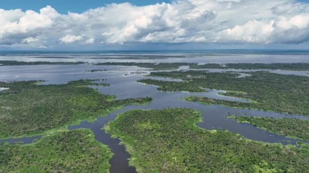Natuurzicht Vanuit Lucht Amazonewoud Bij Amazonas Brazilië Mangrovebos Mangrovebomen Amazone — Stockvideo