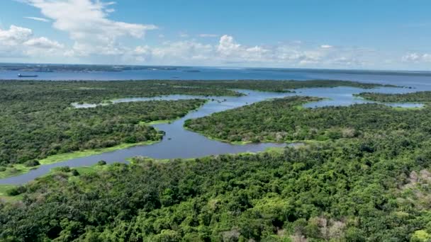 Manaus Brasil Rio Taruma Floresta Amazônica Afluente Gigante Rio Negro — Vídeo de Stock