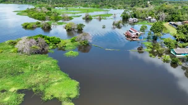 Manaus Brazylia Rzeka Taruma Amazońskim Lesie Zamożna Olbrzymia Czarna Rzeka — Wideo stockowe