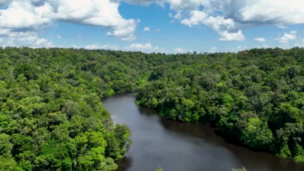 Restaurantes Flotantes Del Río Amazonas Selva Amazónica Manaus Brasil Naturaleza — Vídeo de stock