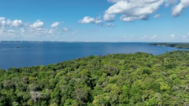 Természet Légi Felvétel Amazon Erdő Amazonas Brazília Mangrove Erdő Mangrove — Stock videók