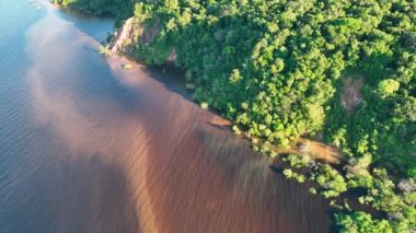 Amazon ormanlarının Amazon Brezilya 'daki doğa manzarası. Mangrove Ormanı. Mangrove ağaçları. Amazon yağmur ormanları doğa manzarası. Amazon igapo su altındaki bitki örtüsü. Amazonas Brezilya 'daki su baskını ormanı.