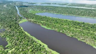 Manaus Brezilya. Amazon Ormanı 'ndaki Taruma Nehri Amazon Biomu' ndaki dev Kara Nehir 'in zenginliği. Doğal yaban hayatı manzarası. Küresel ısınma orman tahribatı. Amazon yağmur ormanları vahşi yaşam.