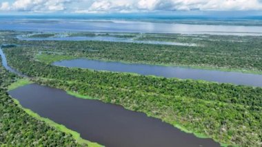 Amazon ormanlarının Amazon Brezilya 'daki doğa manzarası. Mangrove Ormanı. Mangrove ağaçları. Amazon yağmur ormanları doğa manzarası. Amazon igapo su altındaki bitki örtüsü. Amazonas Brezilya 'daki su baskını ormanı.
