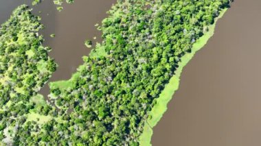 Amazon Ormanı 'nda Amazon Nehri' nin yüzen restoranları. Manaus Brezilya. Doğa, vahşi hayat manzarası. Yeşil arka plan. Amazonas eyaletindeki orman ağaçları. Turizm cazibesi. Seyahat hedefi.