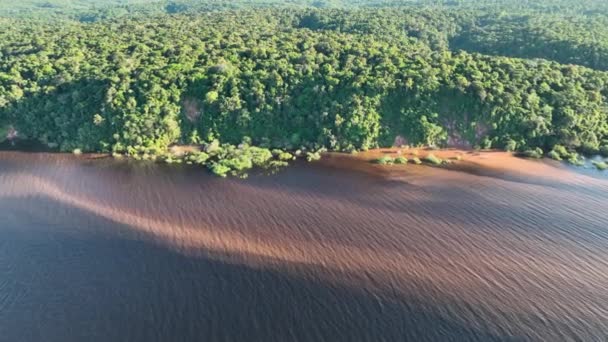 Rio Amazonas Floresta Amazônica Maior Floresta Tropical Mundo Manaus Brasil — Vídeo de Stock
