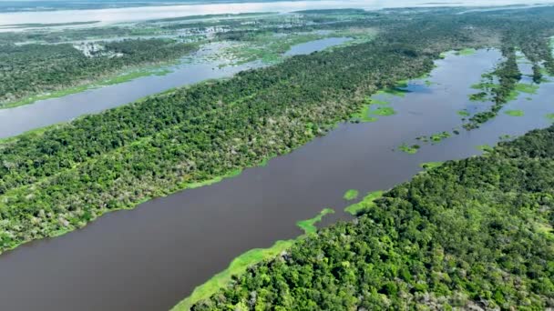 亚马逊河在亚马逊森林的浮动餐馆 马瑙斯巴西 大自然的野生动物景观 绿色背景 亚马孙州的森林树木 旅游景点 旅行目的地 — 图库视频影像