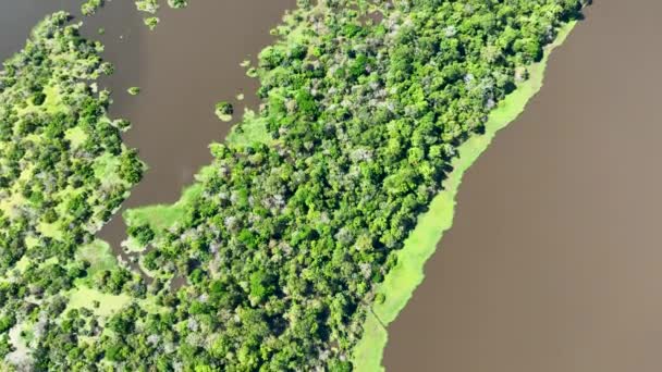 Restaurantes Flotantes Del Río Amazonas Selva Amazónica Manaus Brasil Naturaleza — Vídeos de Stock