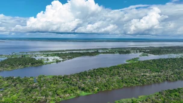 Amazon River Amazon Forest Відомий Тропічний Ліс Світу Манаус Бразилія — стокове відео