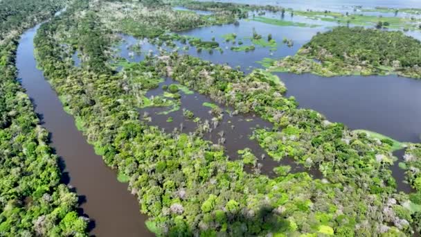 Amazon River Amazonském Deštném Pralese Největší Tropický Deštný Prales Světa — Stock video