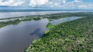 Amazon ormanlarının Amazon Brezilya 'daki doğa manzarası. Mangrove Ormanı. Mangrove ağaçları. Amazon yağmur ormanları doğa manzarası. Amazon igapo su altındaki bitki örtüsü. Amazonas Brezilya 'daki su baskını ormanı.