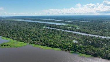 Manaus Brezilya. Amazon Ormanı 'ndaki Taruma Nehri Amazon Biomu' ndaki dev Kara Nehir 'in zenginliği. Doğal yaban hayatı manzarası. Küresel ısınma orman tahribatı. Amazon yağmur ormanları vahşi yaşam.
