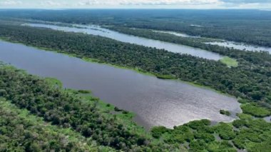 Amazon Ormanı 'nda Amazon Nehri' nin yüzen restoranları. Manaus Brezilya. Doğa, vahşi hayat manzarası. Yeşil arka plan. Amazonas eyaletindeki orman ağaçları. Turizm cazibesi. Seyahat hedefi.