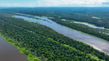 Manaus Brezilya. Amazon Ormanı 'ndaki Taruma Nehri Amazon Biomu' ndaki dev Kara Nehir 'in zenginliği. Doğal yaban hayatı manzarası. Küresel ısınma orman tahribatı. Amazon yağmur ormanları vahşi yaşam.