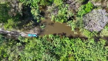 Amazon Nehri 'nden Amazon Ormanı' na giden tekne Brezilya 'nın Amazonas eyaletinde. Mangrove Ormanı. Mangrove ağaçları. Brezilya Amazon yağmur ormanları tabiatı. Amazon igapo su altındaki bitki örtüsü.