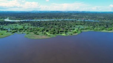 Amazon ormanlarının Amazon Brezilya 'daki doğa manzarası. Mangrove Ormanı. Mangrove ağaçları. Amazon yağmur ormanları doğa manzarası. Amazon igapo su altındaki bitki örtüsü. Amazonas Brezilya 'daki su baskını ormanı.