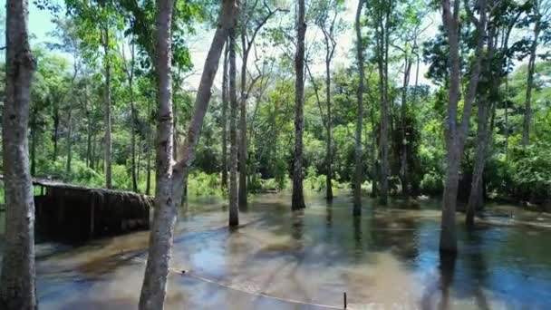 Inheems Dorp Amazonewoud Amazonas Brazilië Jungle Levensstijl Van Inheemse Indiaanse — Stockvideo