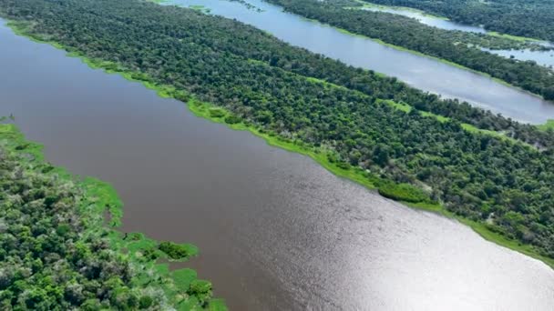 Река Амазонка Тропическом Лесу Амазонки Самый Большой Тропический Лес Мире — стоковое видео