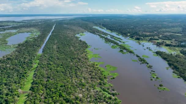 Rio Amazonas Floresta Amazônica Famosa Floresta Tropical Mundo Manaus Brasil — Vídeo de Stock