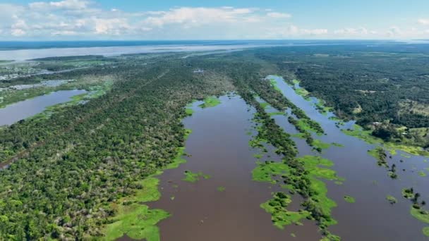 Manaus Brasil Río Taruma Selva Amazónica Afluente Del Gigante Río — Vídeos de Stock