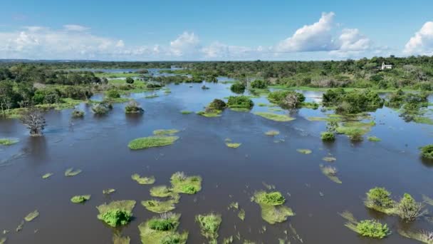 Amazon River Bij Amazon Rainforest Het Grootste Tropische Regenwoud Ter — Stockvideo