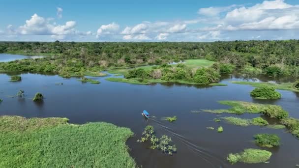 Boot Zeilen Bij Amazon Rivier Bij Amazonewoud Bij Amazonas Staat — Stockvideo