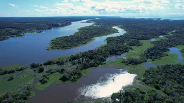 Río Amazonas Selva Amazónica Famoso Bosque Tropical Del Mundo Manaus — Vídeos de Stock