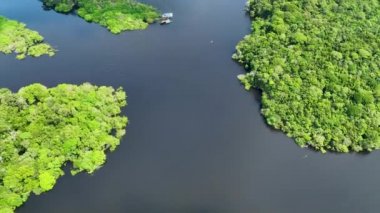 Amazon Nehri, Amazon Yağmur Ormanı. Dünyanın en büyük tropikal yağmur ormanları. Manaus Brezilya. Amazonia ekosistemi. Doğa, vahşi hayat manzarası. Küresel ısınma emisyonlarında azalma. Amazon nehri vahşi yaşamı.